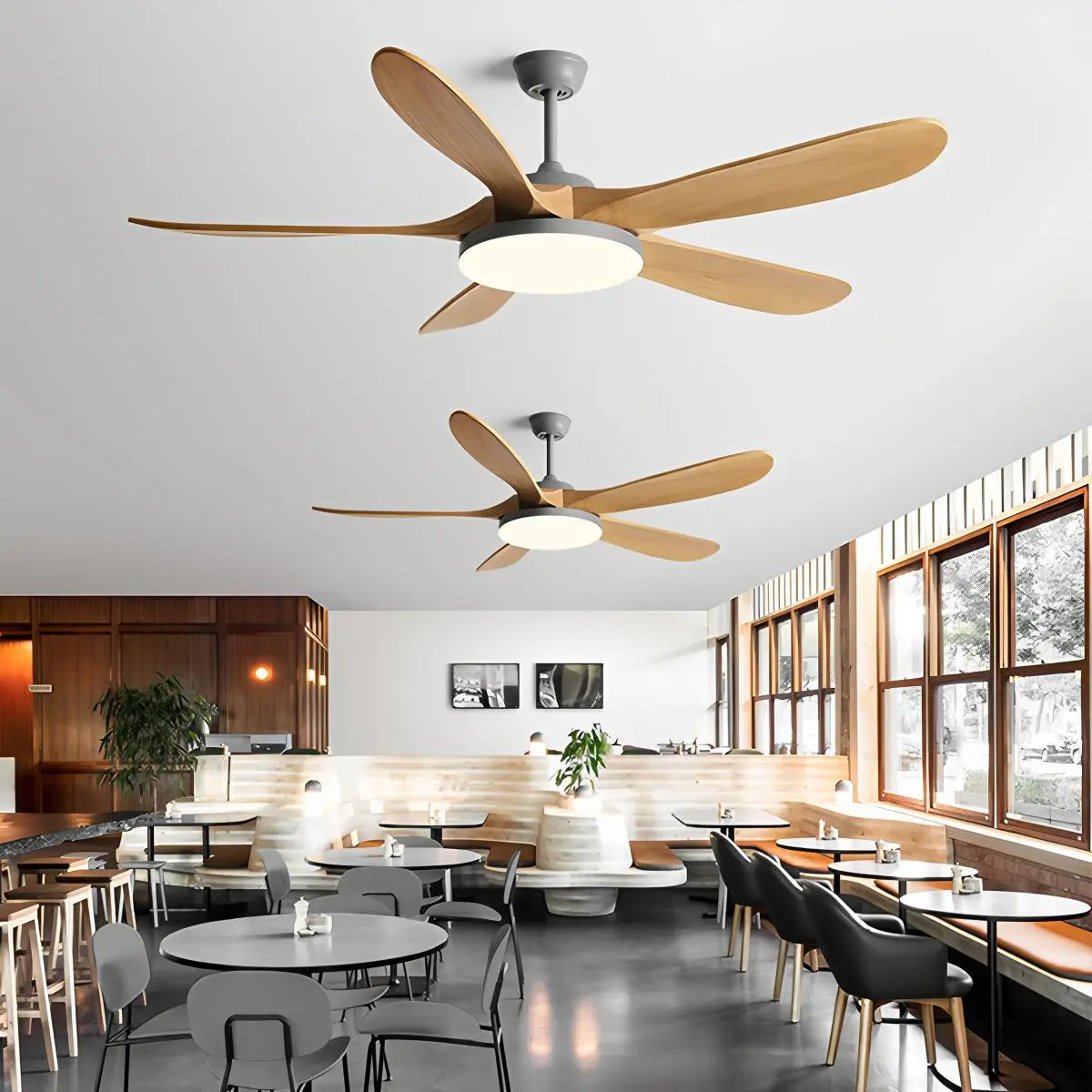 Celling Fans